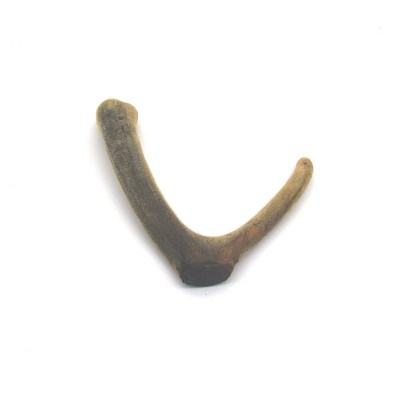 干鹿茸（整支）