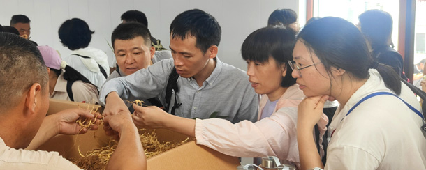 全国中药特色技术传承人才齐聚恒源堂！探秘梅花鹿产业园，共寻中医药文化根脉。